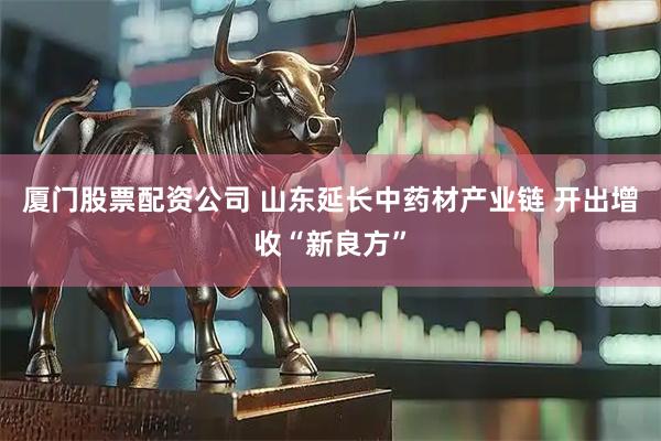 厦门股票配资公司 山东延长中药材产业链 开出增收“新良方”